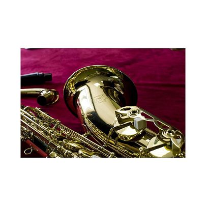 Artist TS-100L